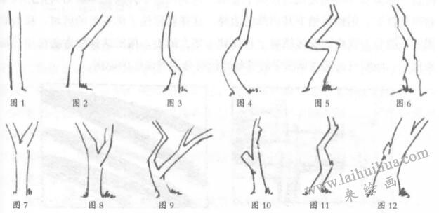 如何素描樹干？風(fēng)景素描入門之樹干的畫法