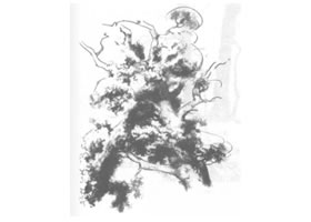 樹(shù)木風(fēng)景素描繪制方法