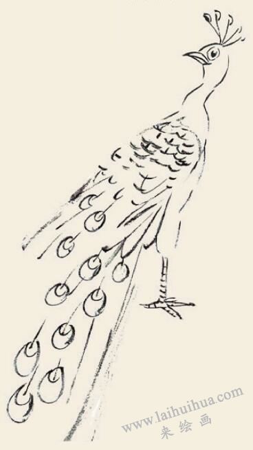孔雀兒童國(guó)畫畫法步驟04