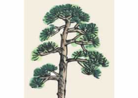 松樹(shù)兒童國(guó)畫(huà)