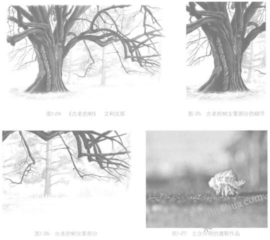 如何畫好素描畫：分清主次