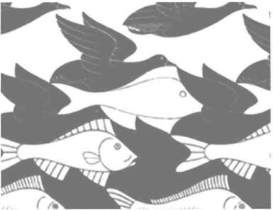 鳥(niǎo)變魚(yú)局部