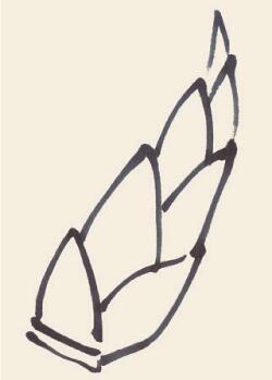 竹筍兒童國(guó)畫(huà)畫(huà)法步驟03