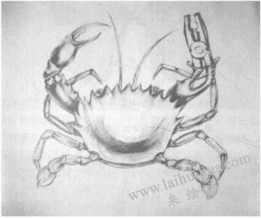 功能相似物體的替換作品一，設(shè)計(jì)素描替換法