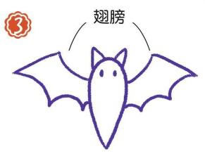 夜空中的蝙蝠簡(jiǎn)筆畫(huà)畫(huà)法步驟03