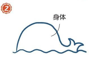 海面上的抹香鯨簡(jiǎn)筆畫畫法步驟02
