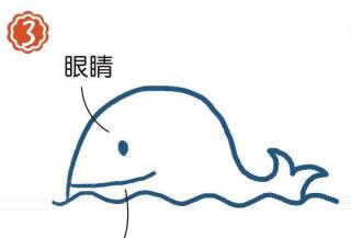 海面上的抹香鯨簡(jiǎn)筆畫畫法步驟03