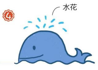 抹香鯨簡(jiǎn)筆畫
