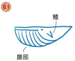 在海里的須鯨簡筆畫畫法步驟03
