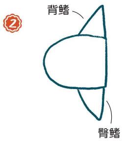 海里的翻車魚簡(jiǎn)筆畫畫法步驟02