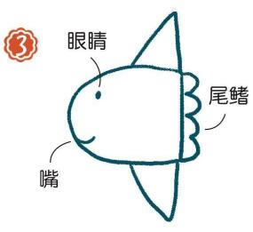 海里的翻車魚簡(jiǎn)筆畫畫法步驟03