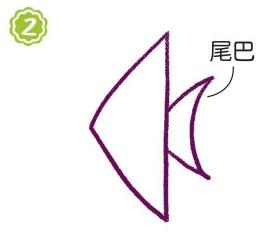 魚(yú)缸里的燕魚(yú)簡(jiǎn)筆畫畫法步驟02