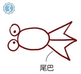 魚缸里的金魚簡(jiǎn)筆畫畫法步驟03