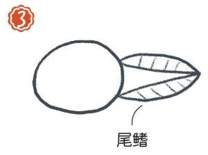 小溪里的蝌蚪簡(jiǎn)筆畫畫法步驟03