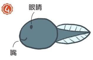 蝌蚪簡(jiǎn)筆畫