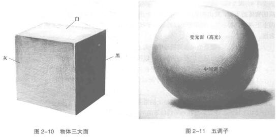 物體三大面，五調(diào)子