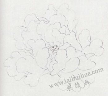 國(guó)畫白牡丹花畫法步驟01
