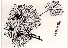 國(guó)畫組合菊花花頭畫法