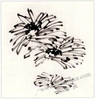 國(guó)畫(huà)菊花《凝香》創(chuàng)作步驟01