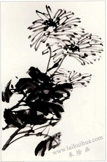 國(guó)畫(huà)菊花《凝香》創(chuàng)作步驟02