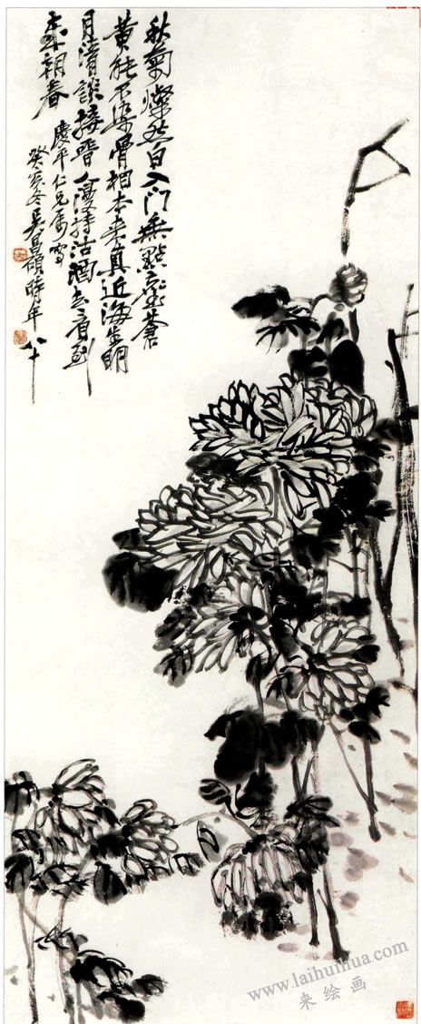 《墨菊》，吳昌碩
