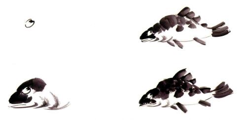 鱖魚(yú)的國(guó)畫畫法