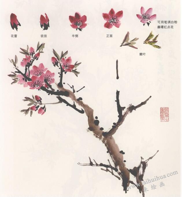 國畫桃花的畫法