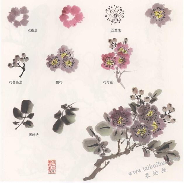 國畫紫薇花的畫法