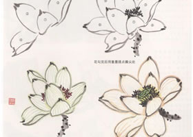 花卉國(guó)畫(huà)荷花的畫(huà)法