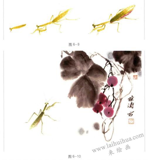 螳螂的國畫畫法步驟