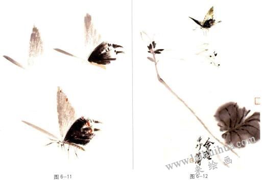 蝴蝶的國(guó)畫(huà)畫(huà)法步驟