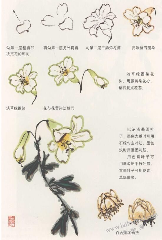 百合花國(guó)畫畫法