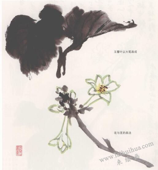 玉簪花國畫畫法