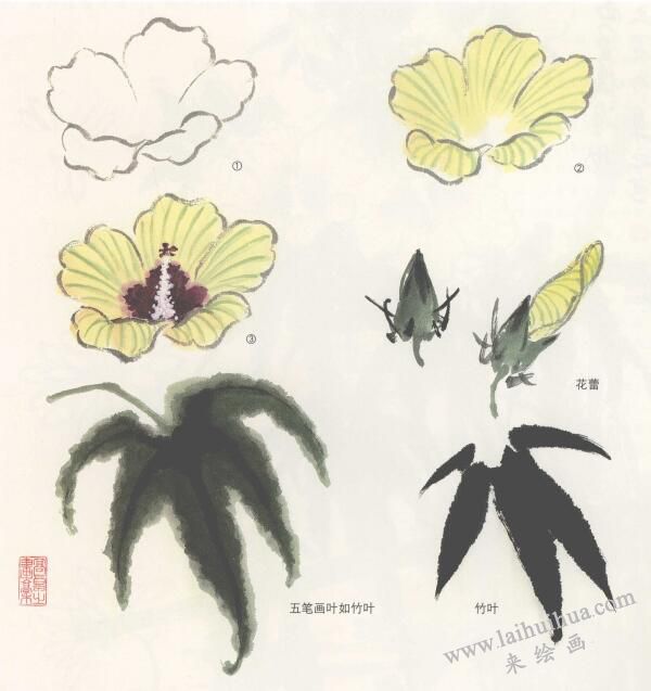秋葵花國畫畫法，側(cè)金盞國畫畫法