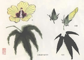 秋葵花國畫畫法