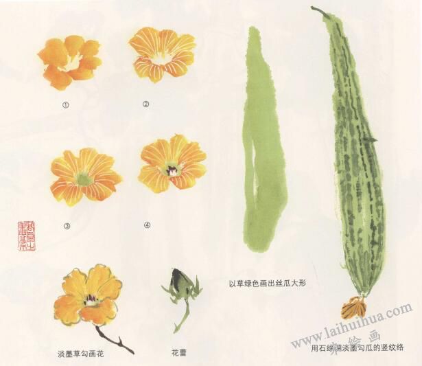 絲瓜花的國(guó)畫畫法
