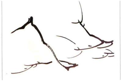 國(guó)畫(huà)梅花：梅梢的畫(huà)法