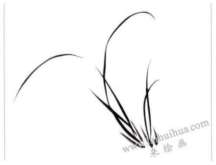 兩叢蘭葉的畫(huà)法01