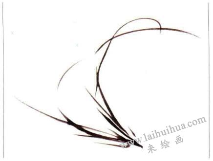 兩叢蘭葉的畫(huà)法02