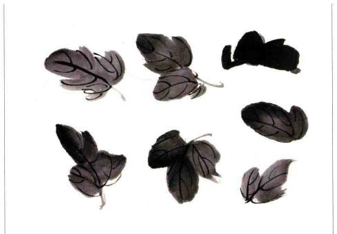 國(guó)畫(huà)菊花：菊葉的畫(huà)法