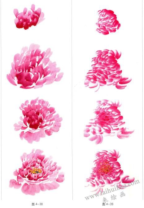 國(guó)畫(huà)牡丹花頭,單筆法和復(fù)筆法