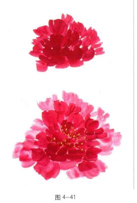 畫(huà)深紅色牡丹