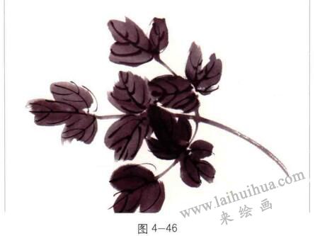 國畫牡丹葉子的畫法01