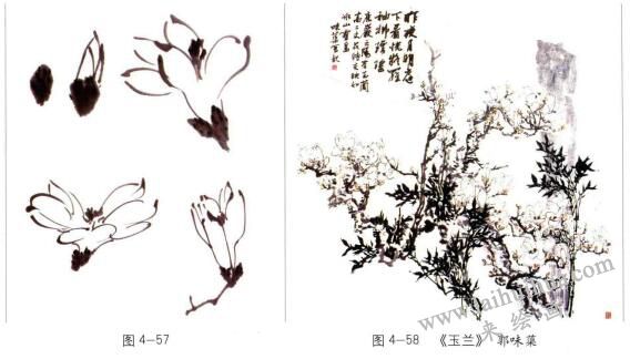國(guó)畫玉蘭的畫法01