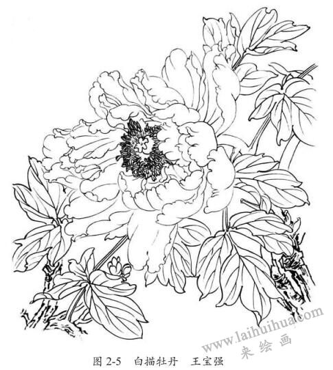 白描牡丹，王寶強(qiáng)