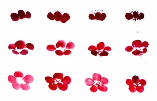 國(guó)畫梅花花朵畫法