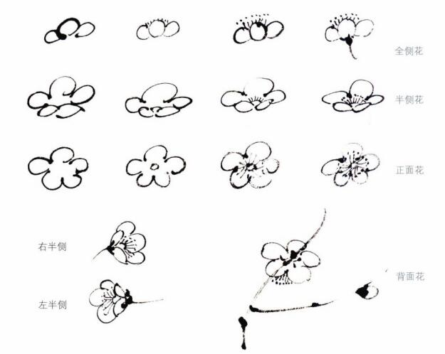 國(guó)畫梅花勾勒畫法
