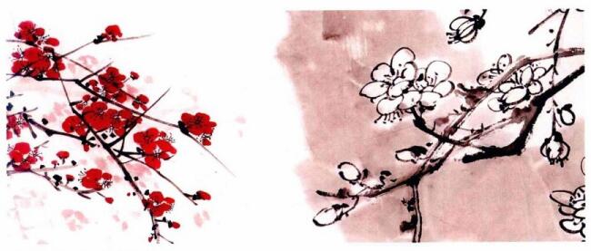 國畫梅花花朵著枝畫法