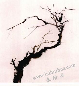國(guó)畫(huà)梅花的畫(huà)法步驟01