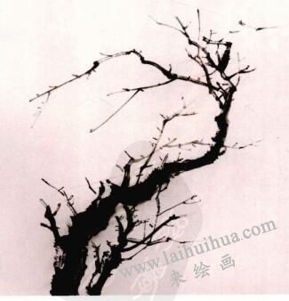 國(guó)畫(huà)梅花的畫(huà)法步驟02